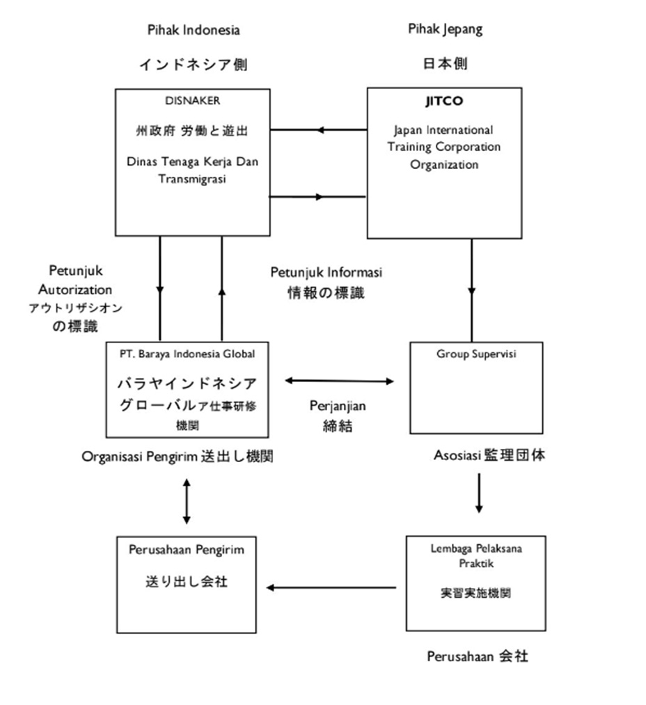 PROSEDUR PENEMPATAN TRAINEE SESUAI PROGRAM JITCO