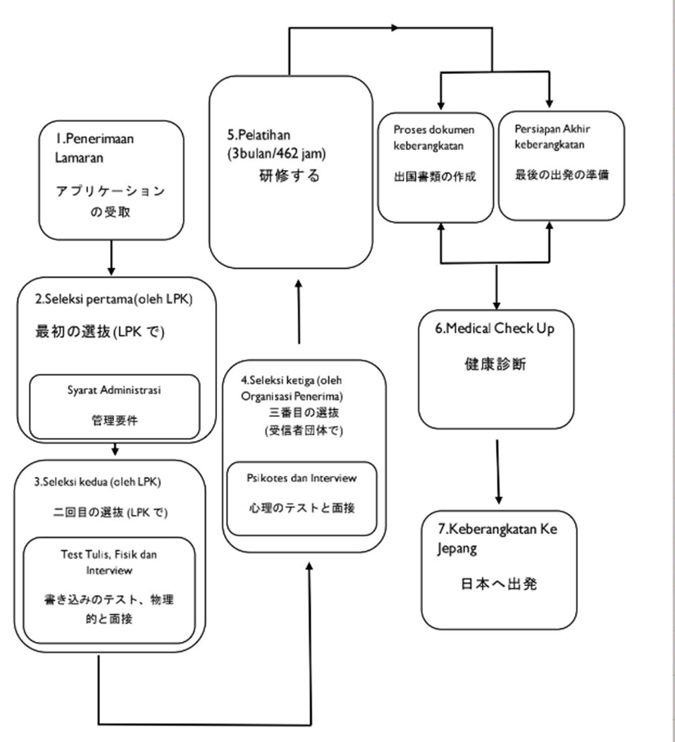 PROSEDUR SELEKSI CALON PESERTA